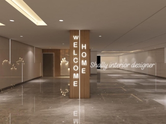 Home Entrance Design in Gurgaon Dlf City Phase 2