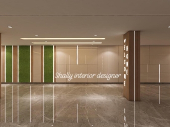 Home Entrance Design in Gurgaon Dlf City Phase 2