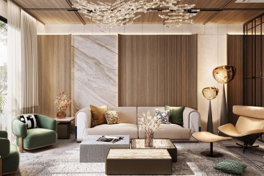 Drawing Room Interior Design in Hari Nagar